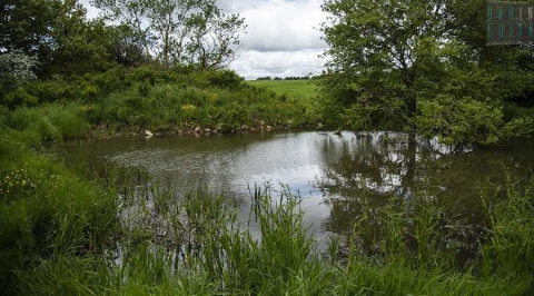 Il Pulicchio e il Laghetto di San Giuseppe: oasi solitarie immerse nell'Alta Murgia